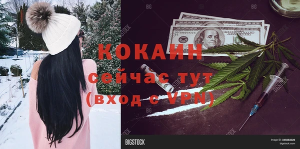 дживик Алексин