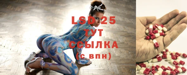 прущие грибы Алексеевка